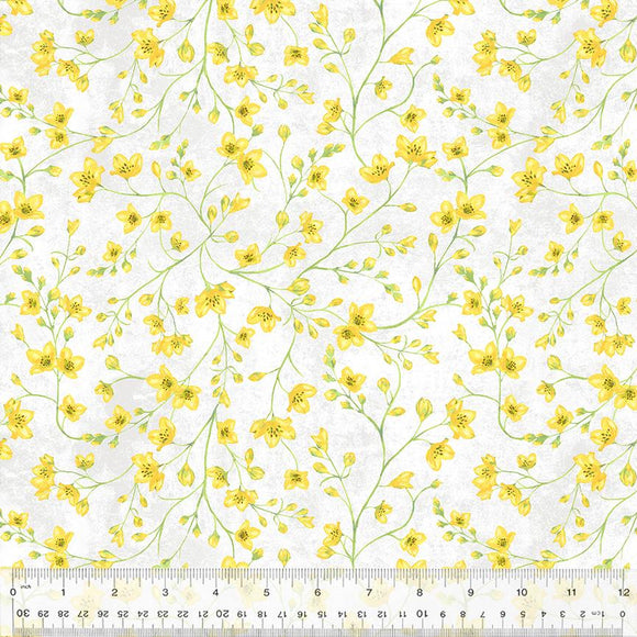 Windham Fabrics Tulip Fields Blooming Buds 54163-1